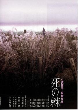 林见鹿